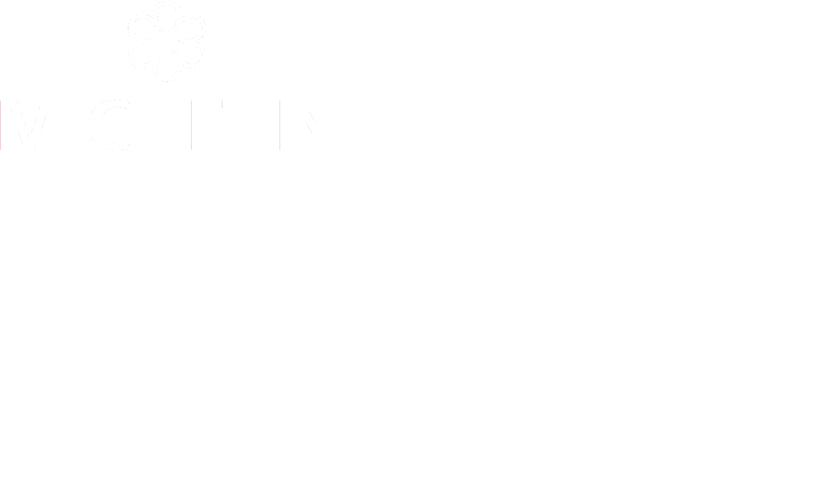 michelin25